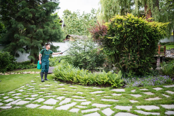 Best Affordable Pest Control Services  in Magnolia, NJ