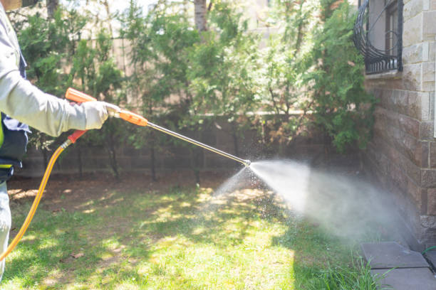 Best Affordable Pest Control Services  in Magnolia, NJ