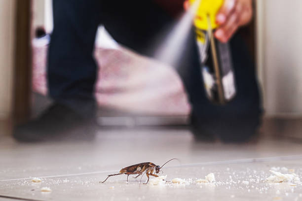 Best Cockroach Control Services  in Magnolia, NJ