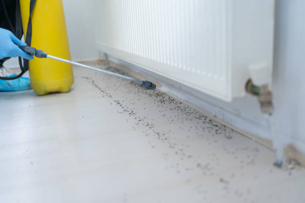 Pest Prevention Services in Magnolia, NJ