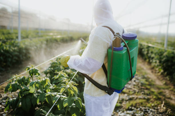 Best Residential Pest Control  in Magnolia, NJ